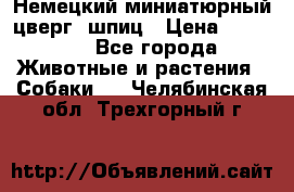 Немецкий миниатюрный(цверг) шпиц › Цена ­ 50 000 - Все города Животные и растения » Собаки   . Челябинская обл.,Трехгорный г.